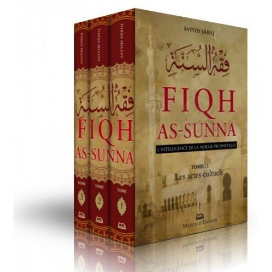 Fiqh as sunna (French only)
