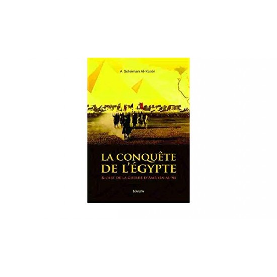 La conquête de l'Egypt (French only)