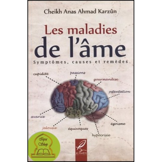 Les maladies de l'âme (French only)